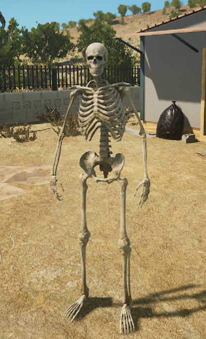 Click image for larger version  Name:	Skeleton.PNG Views:	0 Size:	639.1 KB ID:	2303